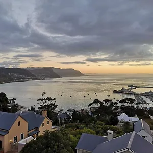 Albatross Simon's Town